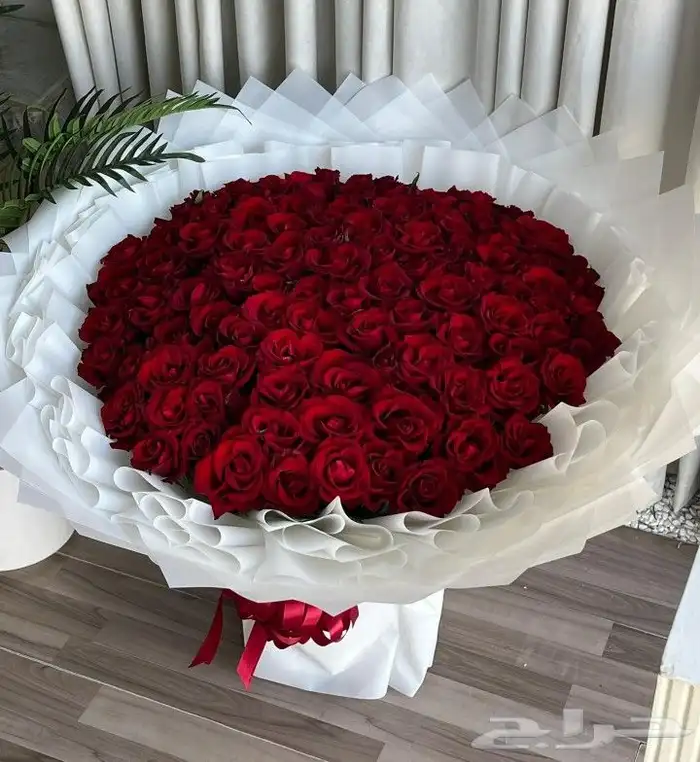 ورد احمر حسب الطلب كيك. كوفي باتشي بستاني سلاسل توصيل 4
