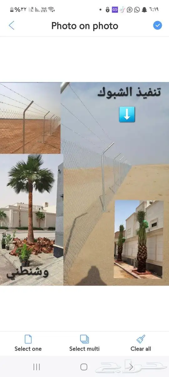 حدائق دلال الرياض وزراعه النخل 6