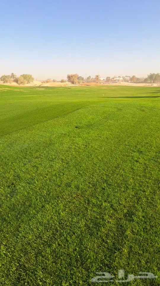 حدائق دلال الرياض وزراعه النخل 0