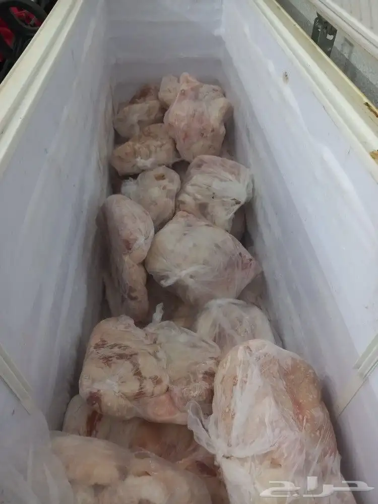 العوالى بن داود مكه 0
