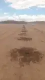 شبوك للبيع توريد وتركيب اسعار مناسبه 6
