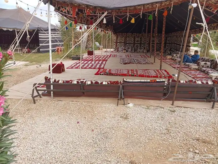 تراثيات اليوم الوطني خيام بيوت شعر 5