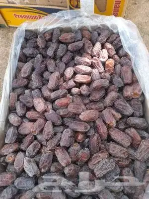 متوفر دخيني طيب فاخر وخضري فاخر التواصل ابو عزام 7