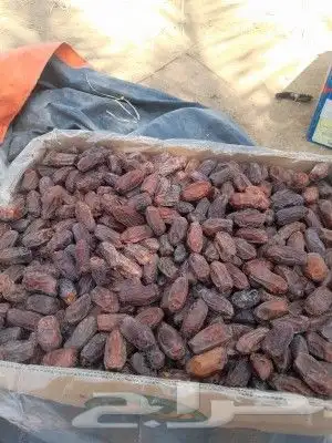 متوفر دخيني طيب فاخر وخضري فاخر التواصل ابو عزام 9