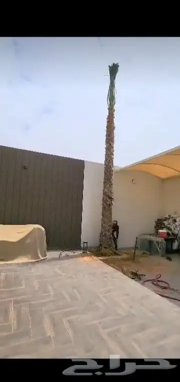 جميع انواع انخيل 0