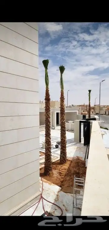 جميع انواع انخيل 2