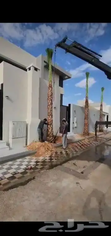 جميع انواع انخيل 6
