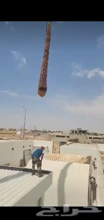 جميع انواع انخيل 9