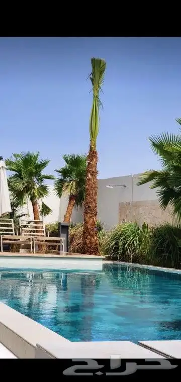 جميع انواع انخيل 7