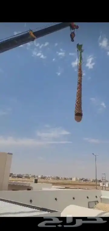 جميع انواع انخيل 5