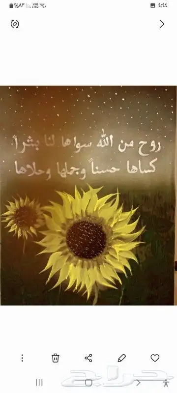 رسام مناظر طبيعية 14