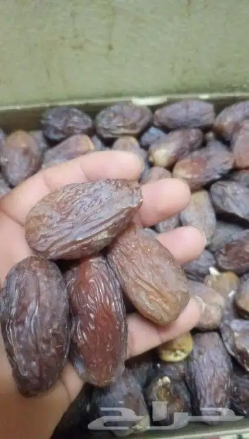 يتوفر لدينا جميع انواع اتمور 2