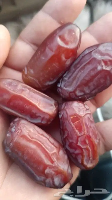 متوفر دخيني طيب فاخر وخضري فاخر التواصل ابو عزام 4