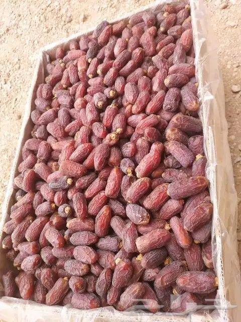 متوفر دخيني طيب فاخر وخضري فاخر التواصل ابو عزام 0