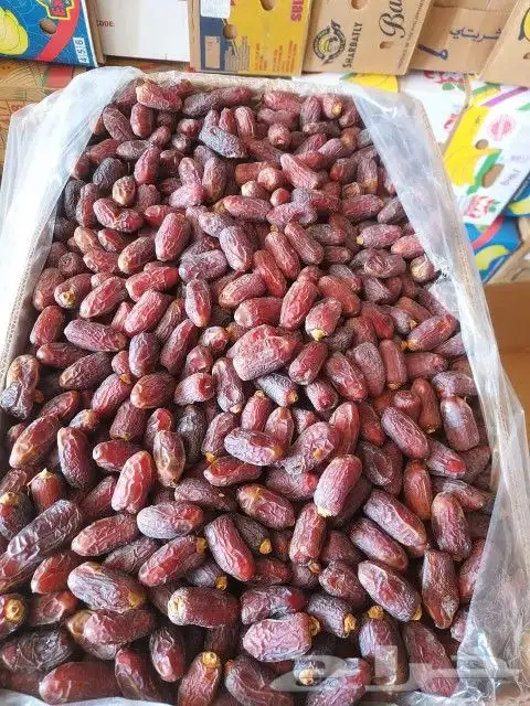 متوفر دخيني طيب فاخر وخضري فاخر التواصل ابو عزام 3