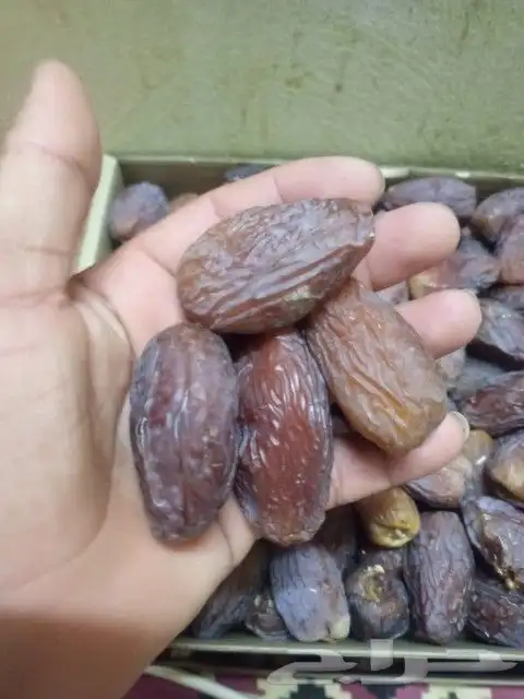 يتوفر لدينا جميع انواع اتمور 3
