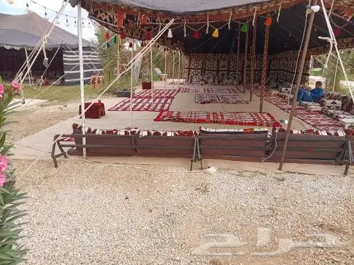 تراثيات اليوم الوطني خيام بيوت شعر 6