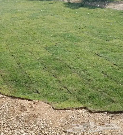 تنسيق حدائق تيل طبيعي 1