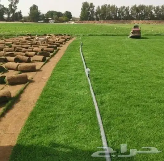 تنسيق حدائق تيل طبيعي 0