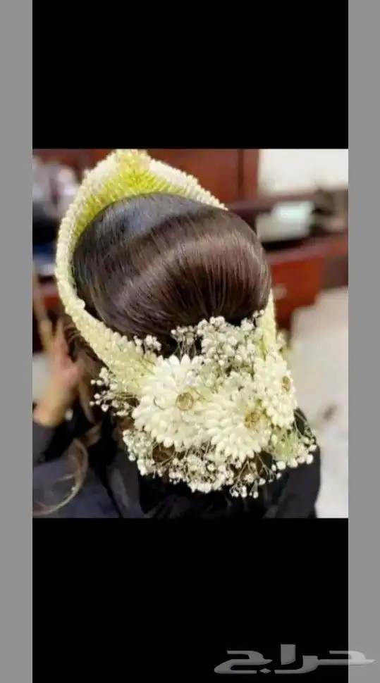 فل صبيا جيزان 1