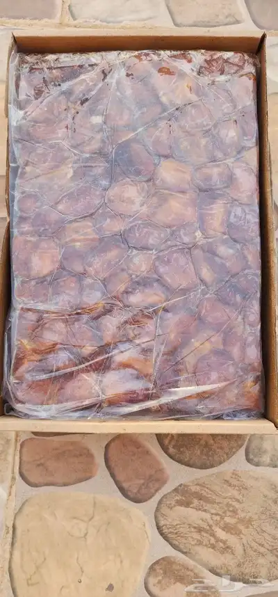 مكبس تمر 10
