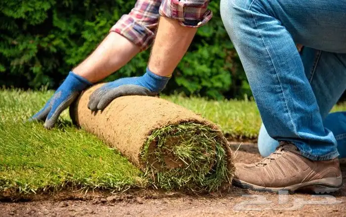 تنسيق حدائق بالرياض والخرج 3