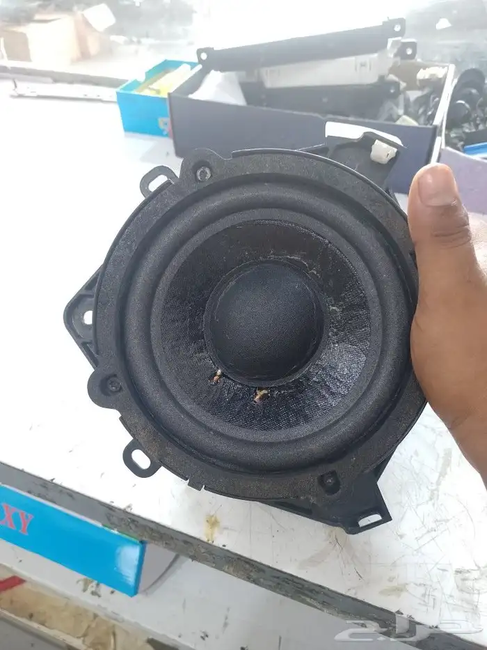 Lexus organization speakers rapring 0