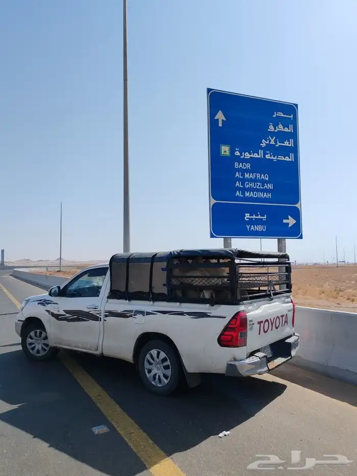 موصل غنم موصل حلال 8
