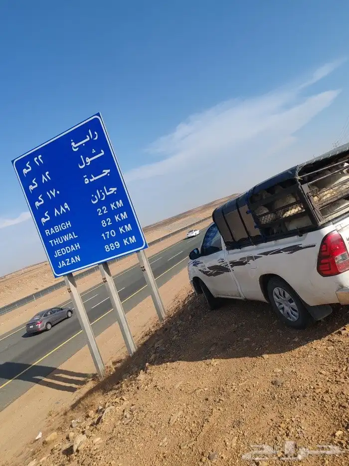 موصل غنم موصل حلال 9