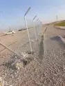 مقول شبوك ونخيل في انحاء المملكه 1
