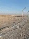 مقول شبوك ونخيل في انحاء المملكه 8
