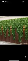 عشب  ديكورات  احواض  ديكورات 9