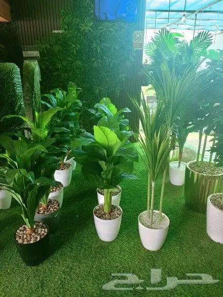 عشب  ديكورات  احواض  ديكورات 8