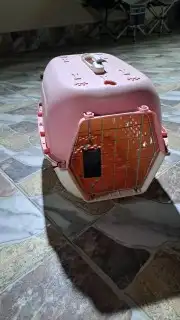 بيت القط والحمام 2