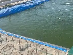 بلاستيك احواض زراعية اسماك  شراع تجميع مياه  بيت محمي 9