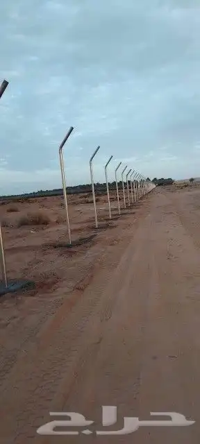 مقاول شبوك وسياجات أمنيه ونخيل 2