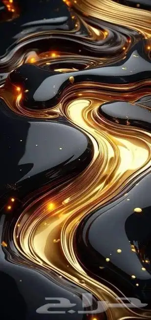 حل اختبار حاسب الي 0