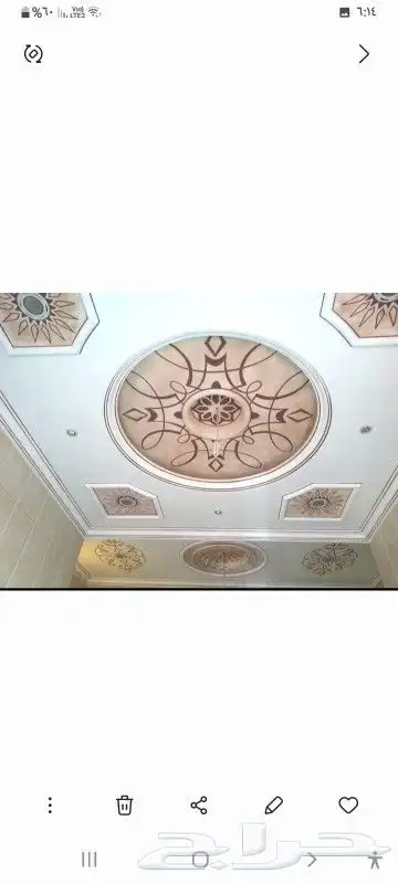 رسام أسقف 4