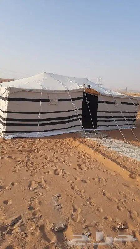 بيوت شعر ابيض تركي المكنة الماني سعار عرض يوم الوطني 8