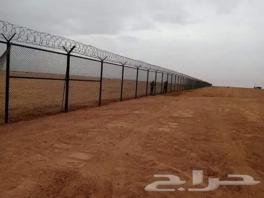 شبوك تبوك الوجه  تيماء ضباء املج 2