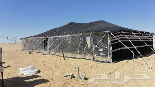 بيوت شعر ابيض تركي المكنة الماني سعار عرض يوم الوطني 5