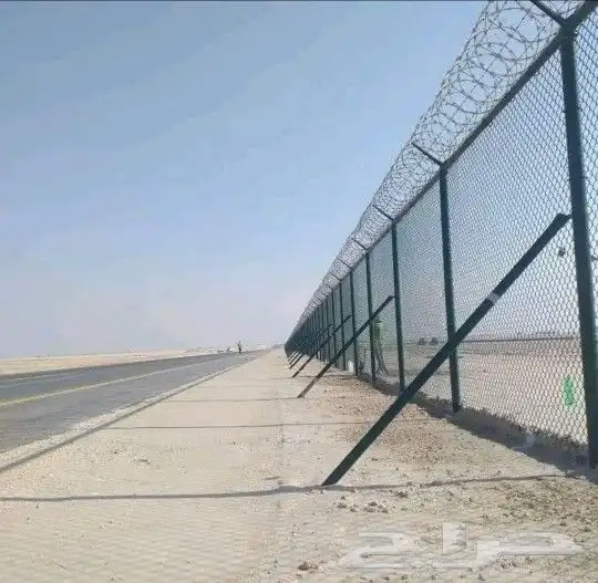 شبوك تبوك الوجه  تيماء ضباء املج 5