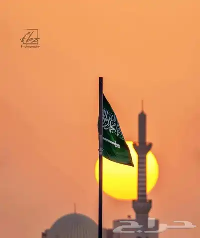 مهندس سعودي تأمينات 0