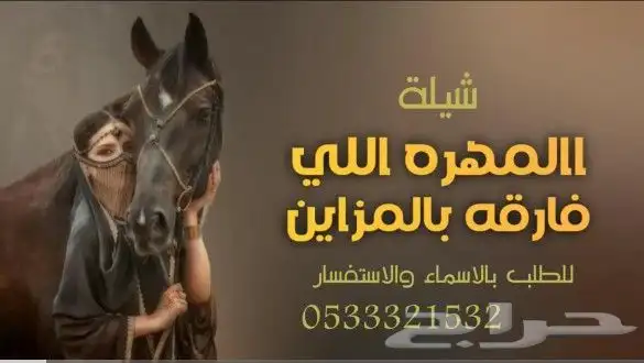 منشد شيلات شاعر جزل 0