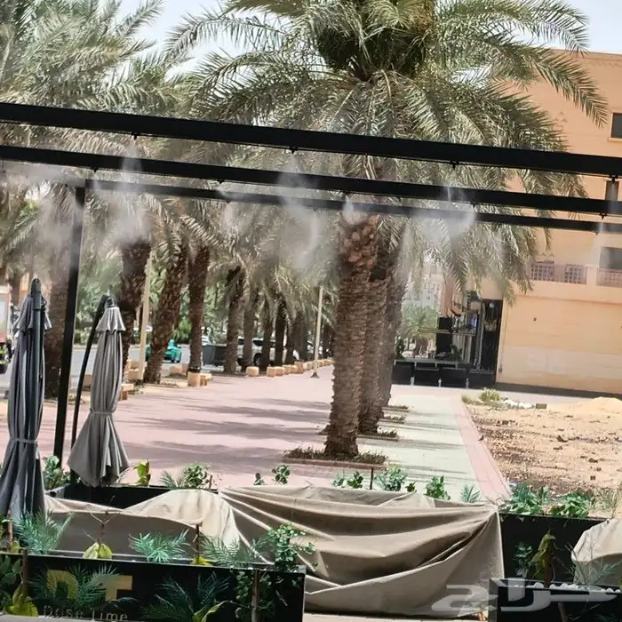 رذاذوضباب 8