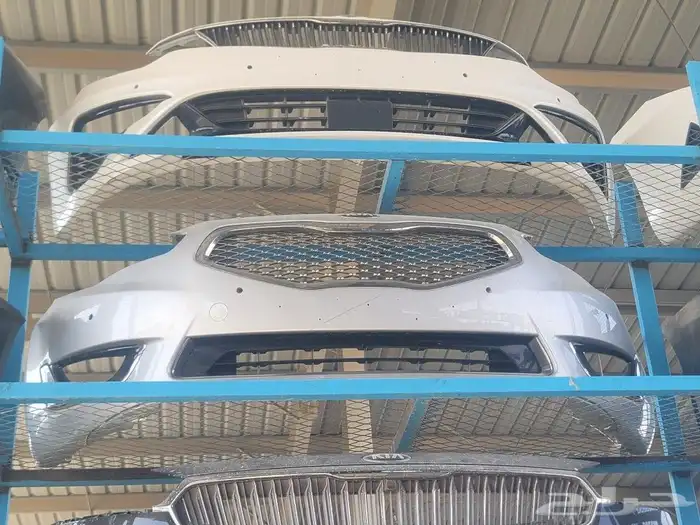 صدامات كادينزا 2015 1