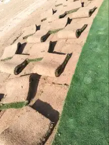 جميع انواع الثيل مع التوصيل 2