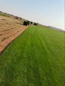 جميع انواع الثيل مع التوصيل 6