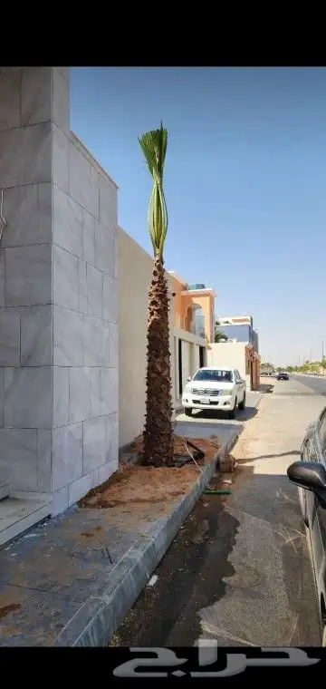 جميع انواع انخيل والاشجار 7