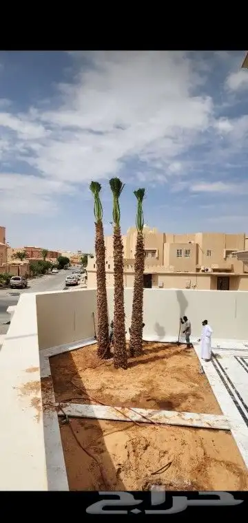 جميع انواع انخيل والاشجار 6